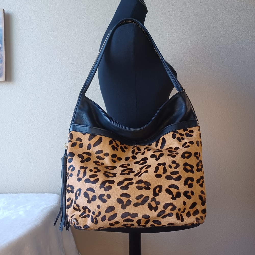Cheetah hobo